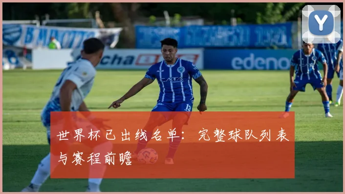世界杯已出线名单：完整球队列表与赛程前瞻