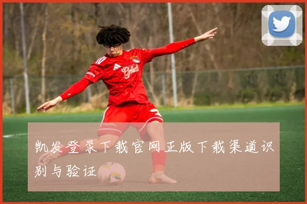 凯发登录下载官网正版下载渠道识别与验证
