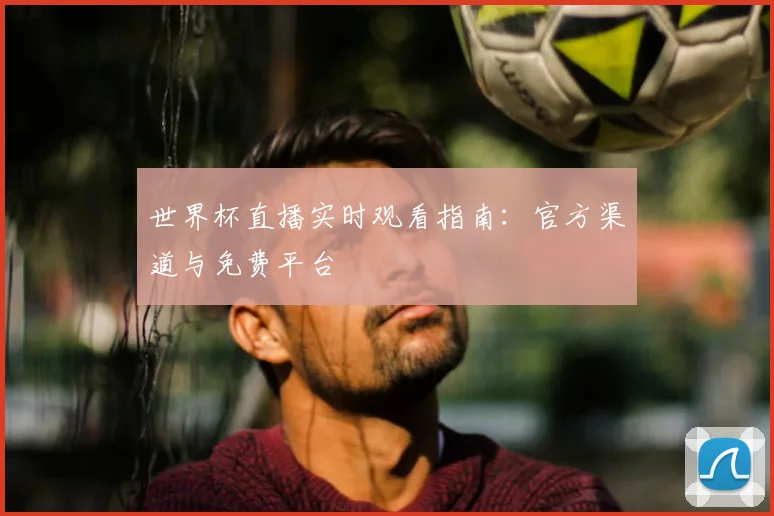 世界杯直播实时观看指南：官方渠道与免费平台