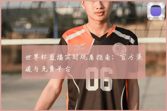 世界杯直播实时观看指南：官方渠道与免费平台