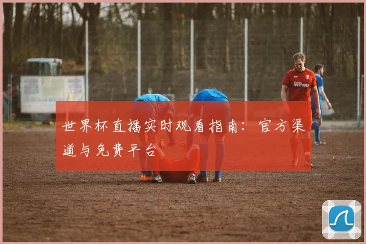 世界杯直播实时观看指南：官方渠道与免费平台
