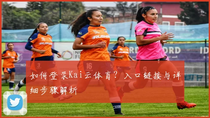 如何登录Kai云体育？入口链接与详细步骤解析