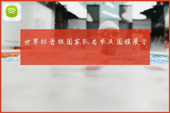 世界杯晋级国家队名单及国旗展示