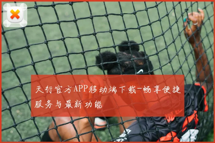 天行官方APP移动端下载-畅享便捷服务与最新功能